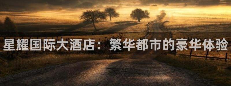 威九国际2平台登录：星耀国际大酒店：繁华都市的豪华体验