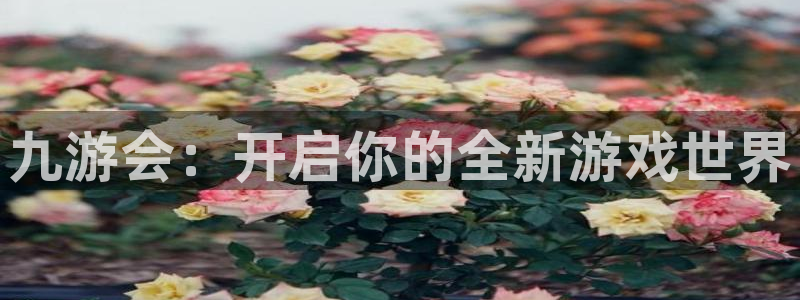 威九国际体育平台登录入口：九游会：开启你的全新游戏世界