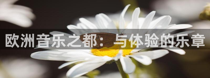 威九国际体育平台总代理：欧洲音乐之都：与体验的乐章