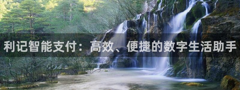 上海威九国际汽车电子有限公司：利记智能支付：高效、便捷的数字生活助手