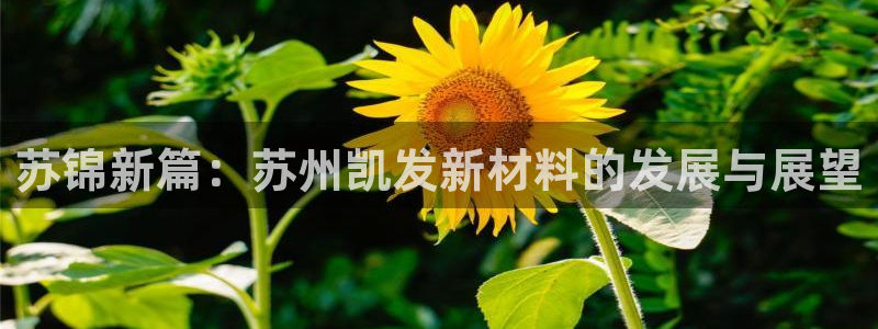 威九国际4开户：苏锦新篇：苏州凯发新材料的发展与展望