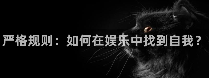 威九国际2登录：严格规则：如何在娱乐中找到自我？