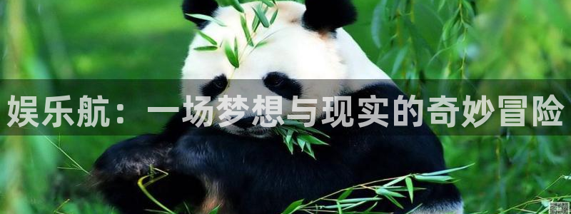 威九国际2体育登录入口：娱乐航：一场梦想与现实的奇妙冒险