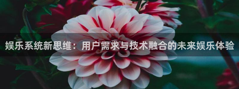 威九国际体育合法嘛：娱乐系统新思维：用户需求与技术融合的未来娱乐体验