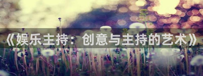 威九国际代理：《娱乐主持：创意与主持的艺术》