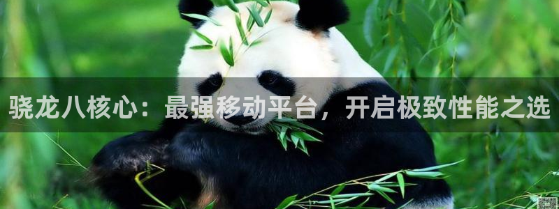 威九国际2体育登录入口：骁龙八核心：最强移动平台，开启极致性能之选
