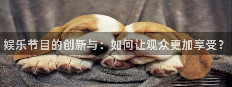 威九国际游戏有哪些好玩的：娱乐节目的创新与：如何让观众更加享受？
