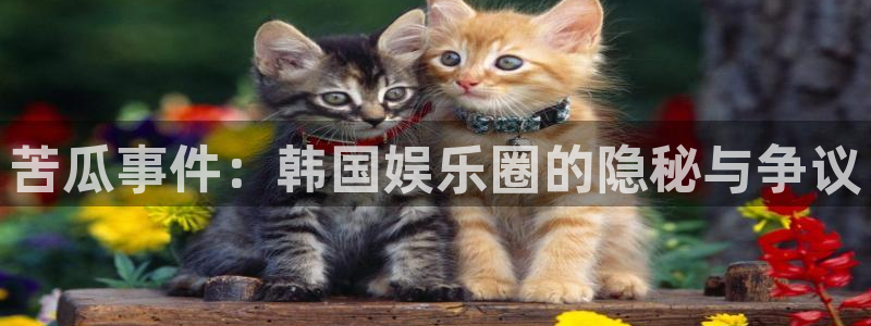 威九国际4：苦瓜事件：韩国娱乐圈的隐秘与争议