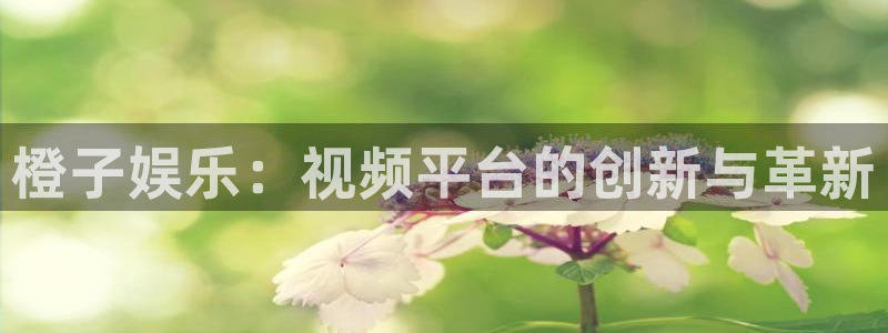 威九国际2官网：橙子娱乐：视频平台的创新与革新