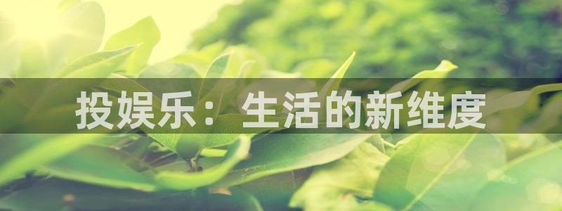 威九国际体育官网注册：投娱乐：生活的新维度