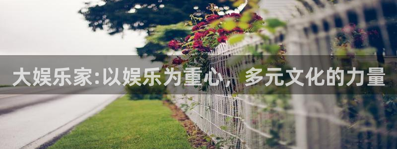 威九国际2体育登录入口：大娱乐家:以娱乐为重心，多元文化的力量