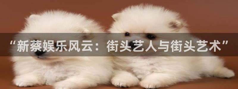威九国际集团总部：“新蔡娱乐风云：街头艺人与街头艺术”