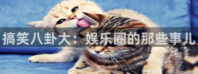 威九国际登录界面入口：搞笑八卦大：娱乐圈的那些事儿