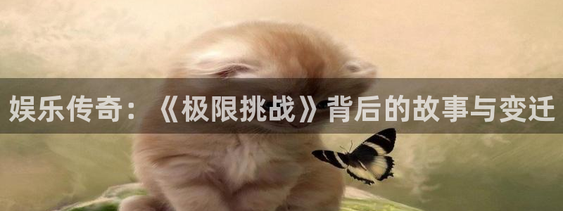 威九国际体育注册登录入口：娱乐传奇：《极限挑战》背后的故事与变迁