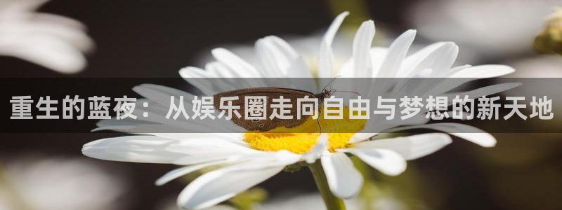 威九国际登录注册：重生的蓝夜：从娱乐圈走向自由与梦想的新天地
