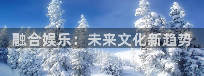 成都威九国际电子有限公司