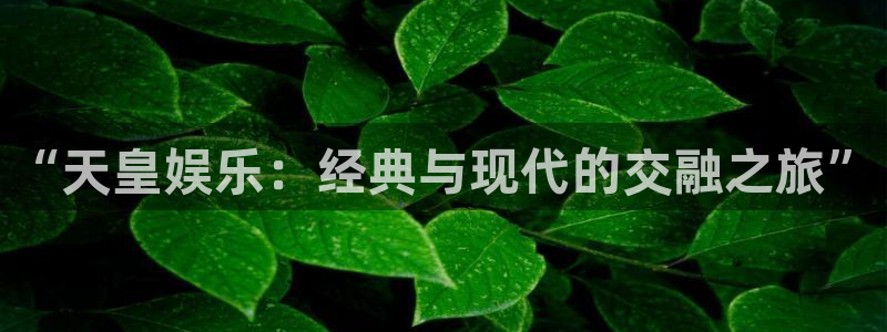 威九国际体育游戏：“天皇娱乐：经典与现代的交融之旅”