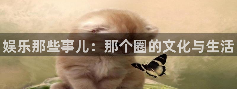 威九国际2体育：娱乐那些事儿：那个圈的文化与生活