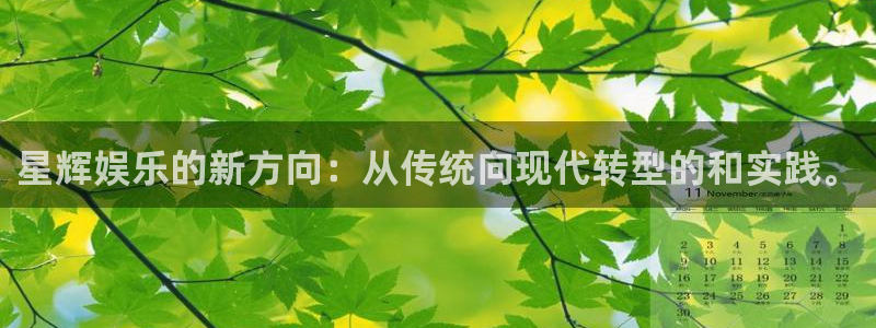 威九国际3官网登录：星辉娱乐的新方向：从传统向现代转型的和实践。