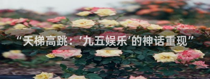 威九国际体育注册：“天梯高跳：‘九五娱乐’的神话重现”