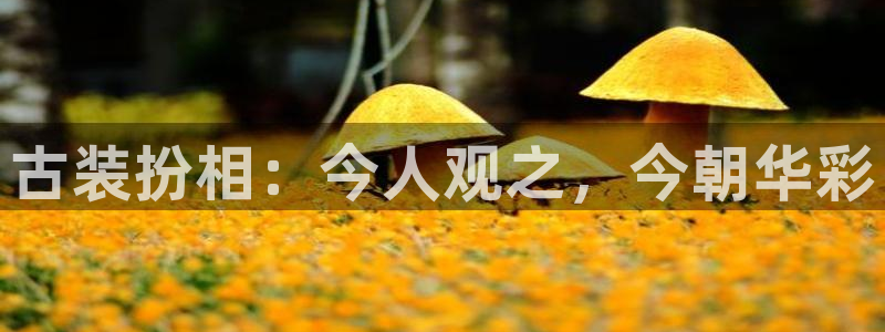 威九国际3登录：古装扮相：今人观之，今朝华彩