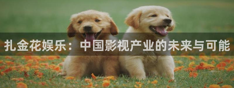 威九国际官网入口：扎金花娱乐：中国影视产业的未来与可能