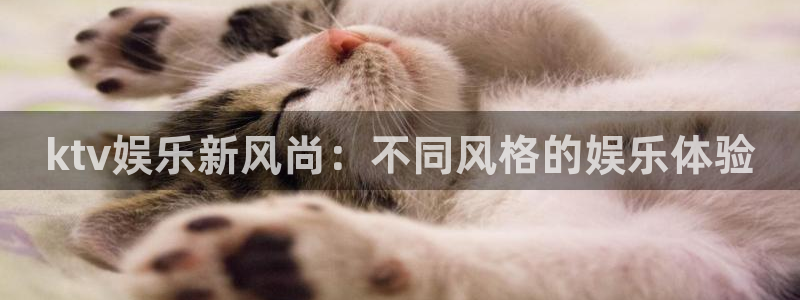 威九国际平台注册：ktv娱乐新风尚：不同风格的娱乐体验