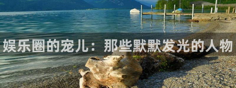 东莞市威九国际电子科技有限公司：娱乐圈的宠儿：那些默默发光的人物