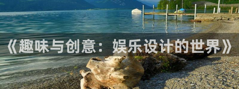 威九国际平台在线开户：《趣味与创意：娱乐设计的世界》