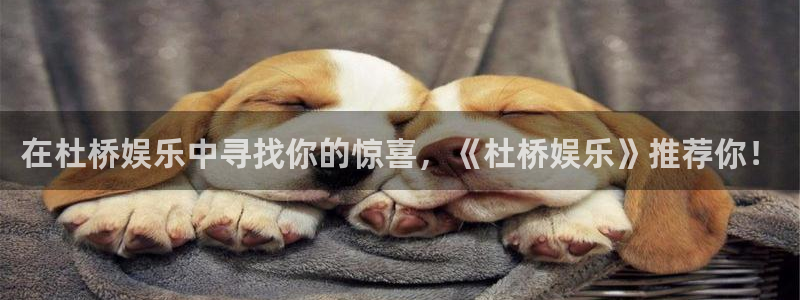 威九国际股份：在杜桥娱乐中寻找你的惊喜，《杜桥娱乐》推荐你！