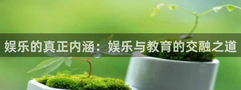 东莞市威九国际电子科技有限公司：娱乐的真正内涵：娱乐与教育的交融之道