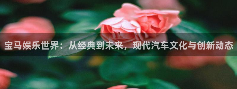 威九国际电子有限公司：宝马娱乐世界：从经典到未来，现代汽车文化与创新动态
