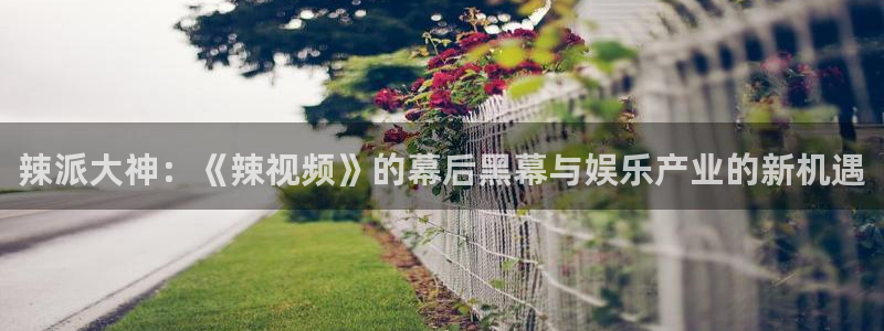 威九国际4登录：辣派大神：《辣视频》的幕后黑幕与娱乐产业的新机遇