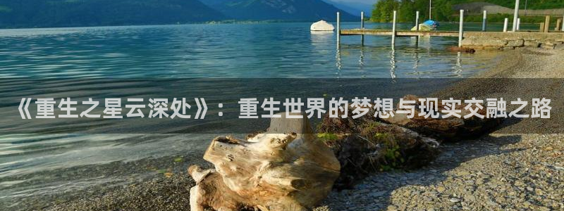 佛山市南海威九国际机电仪器有限公司：《重生之星云深处》：重生世界的梦想与现实交融