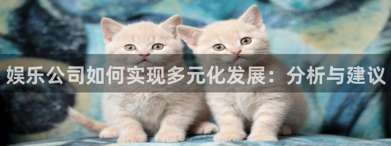 威九国际体育凯捷平台主管：娱乐公司如何实现多元化发展：分析与建议