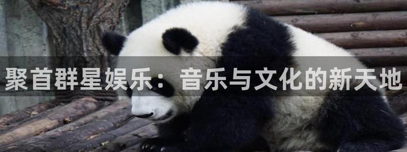 威九国际2体育登录入口：聚首群星娱乐：音乐与文化的新天地