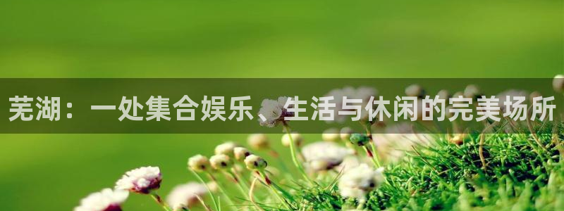 威九国际体育注册平台：芜湖：一处集合娱乐、生活与休闲的完美场所