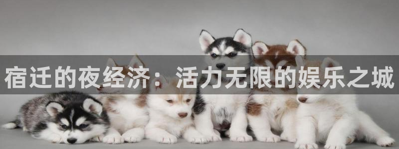 威九国际4平台注册：宿迁的夜经济：活力无限的娱乐之城