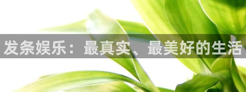 威九国际3登录：发条娱乐：最真实、最美好的生活